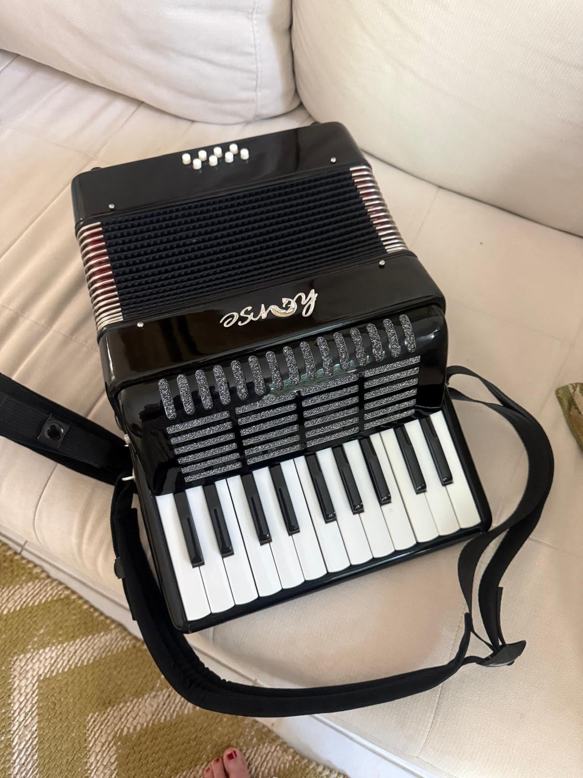 Accordion, 22 Keys 8 Bass Piano Accordion Acordeones Para Adultos, Acordeón De Adulto Azul for Beginners Adults, Educational Musical Instrument Sweet Sound with Straps and Padded Bag (White) customer photo 1