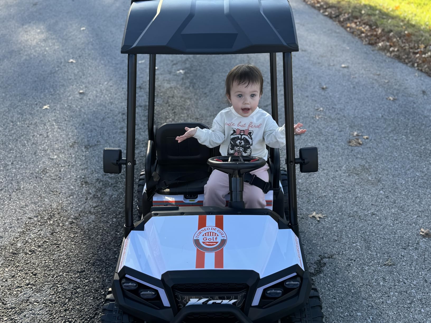 4 Seater Kids Golf Cart, 24V Ride on Car for Big Kids customer photo 1