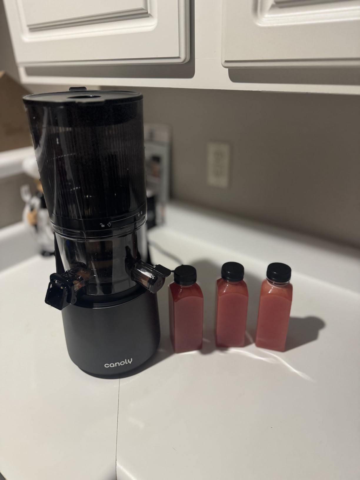 Canoly 3-in-1 Cold Press Juicer C16, Makes Juice & Sorbet & Nut Milk | 6