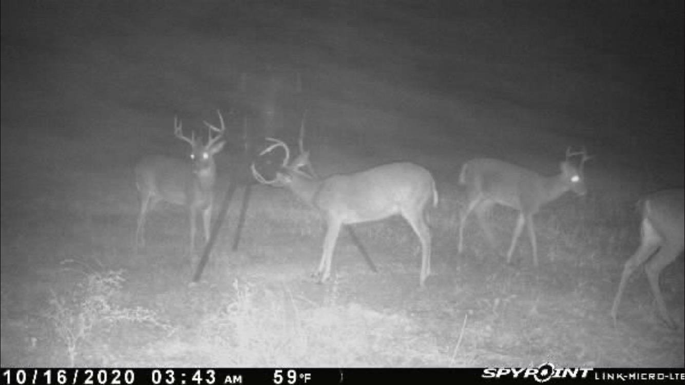 Moultrie Gravity Deer Feeder - Tripod Game Feeder - Easy Conversion Adapter customer photo 1