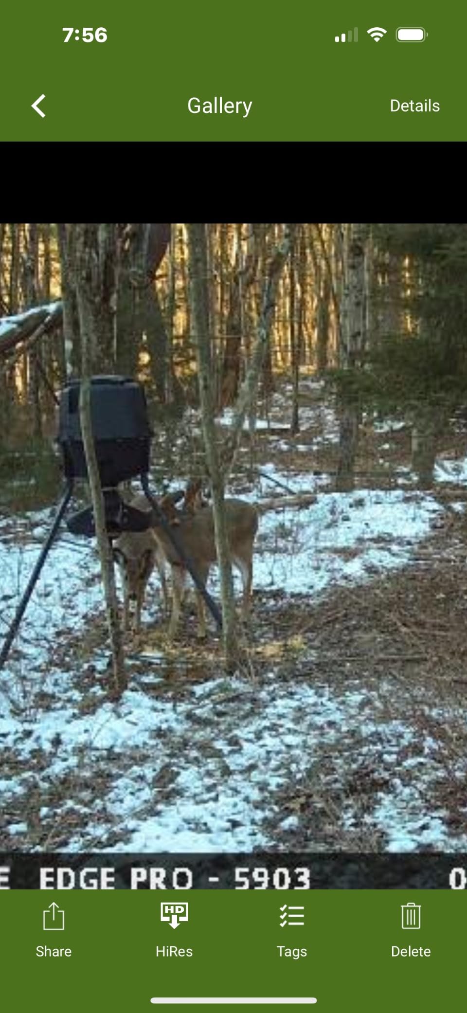 Moultrie Gravity Deer Feeder - Tripod Game Feeder - Easy Conversion Adapter customer photo 2