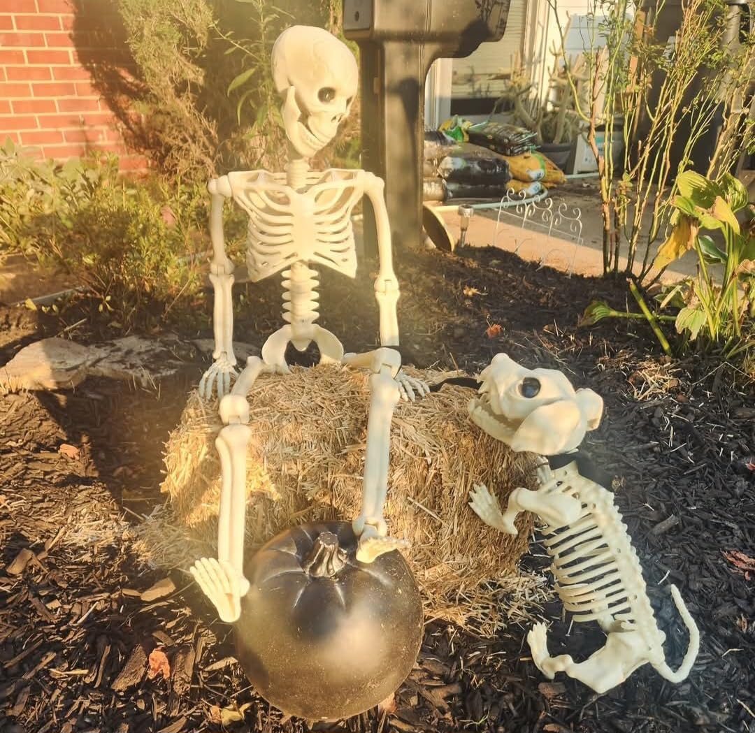 Lighted Human & Dog Skeleton Halloween Decorations Outdoor/Indoor - 36 Inch Realistic Full Body Movable Posable Skeleton customer photo 2