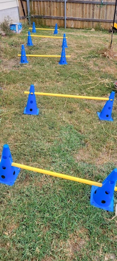 Dog Agility Course Backyard Set, Dog Agility Hurdle Cone Set with Height Adjustable Crossbar for Rehabilitation & Beginners, Dog Agility Equipment for Dog Obstacle Course - 12 Inch customer photo 2