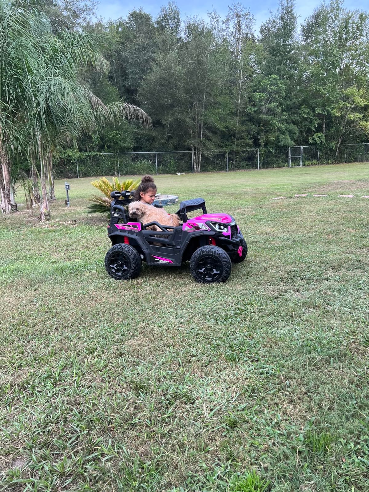 sopbost 24V Kids Ride On UTV with Remote Control, 2WD/4WD Switchable, Blue customer photo 2