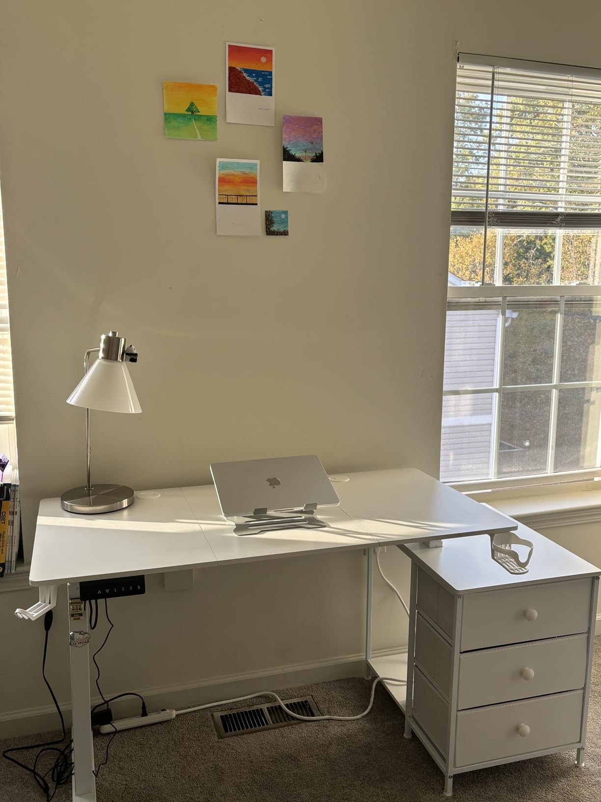 REAHOME 47 Inch White Electric Height Adjustable Standing Desk with Drawers | Dual Motor Sit-Stand Frame With 3 Memory Presets, Printer Cabinet, Hooks & Cable Management For Home Office Gaming Desk customer photo 1