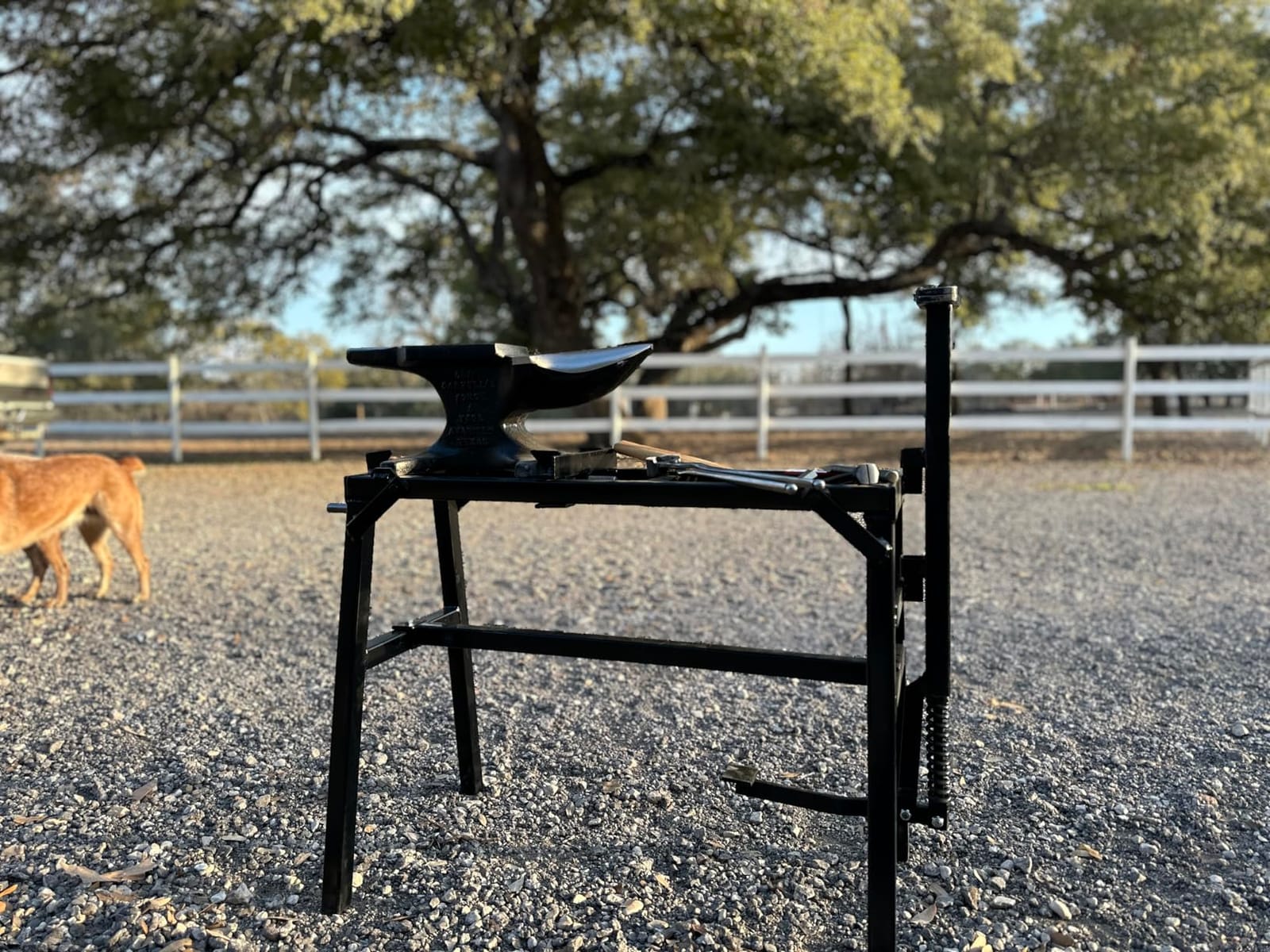 VEVOR Single Horn Anvil, 66 lbs, High Hardness Cast Steel, Rugged Round Horn Anvil Blacksmith, with Pritchel and Hardy Hole, Large Countertop Stable Base, Metalsmith Tool for Bending and Shaping customer photo 1