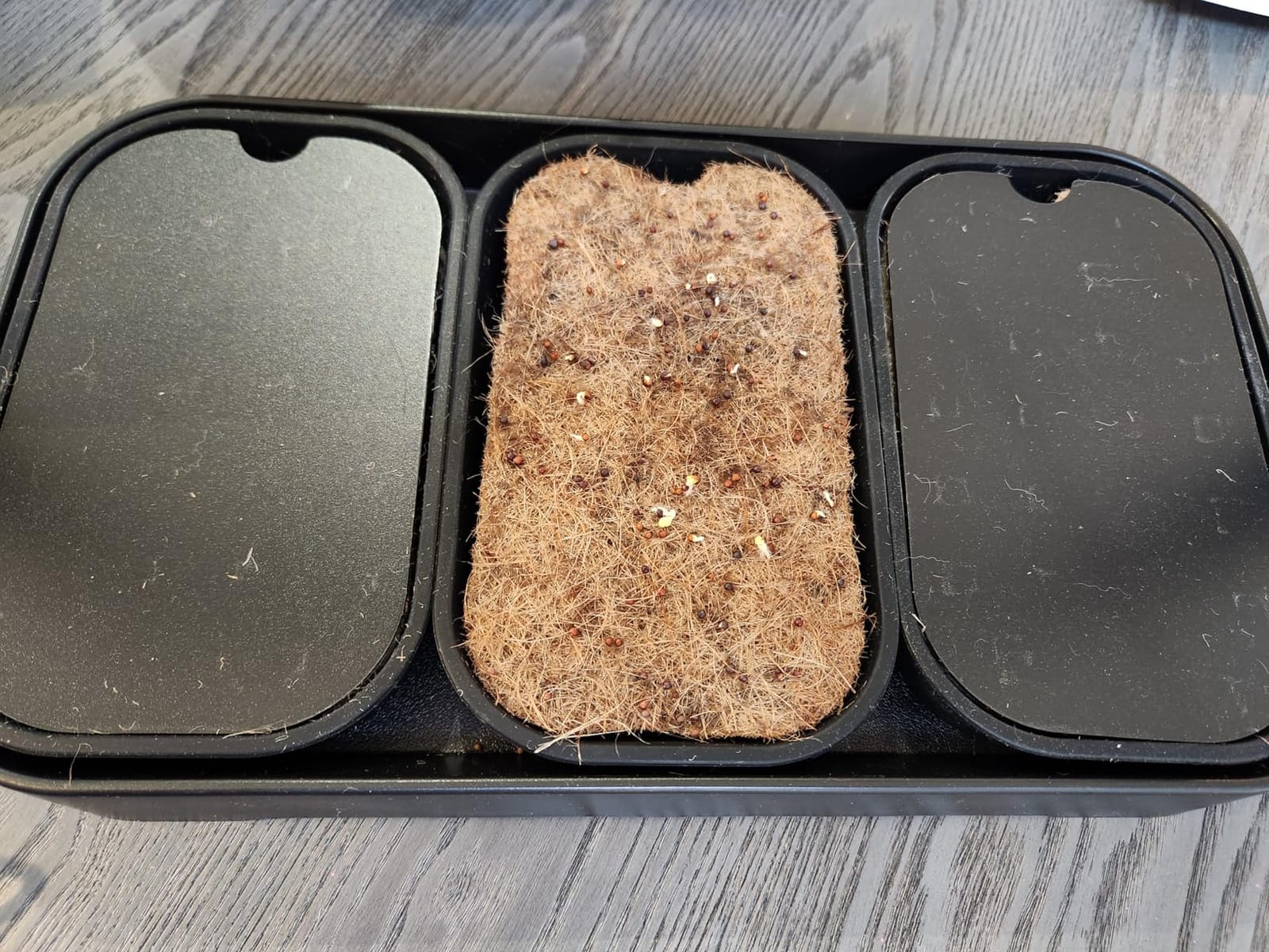 Microgreens Growing Kit Indoor, Micro Greens Indoor Herb Garden Kit with LED Light, 3 Trays, 6 Jute Mats customer photo 1
