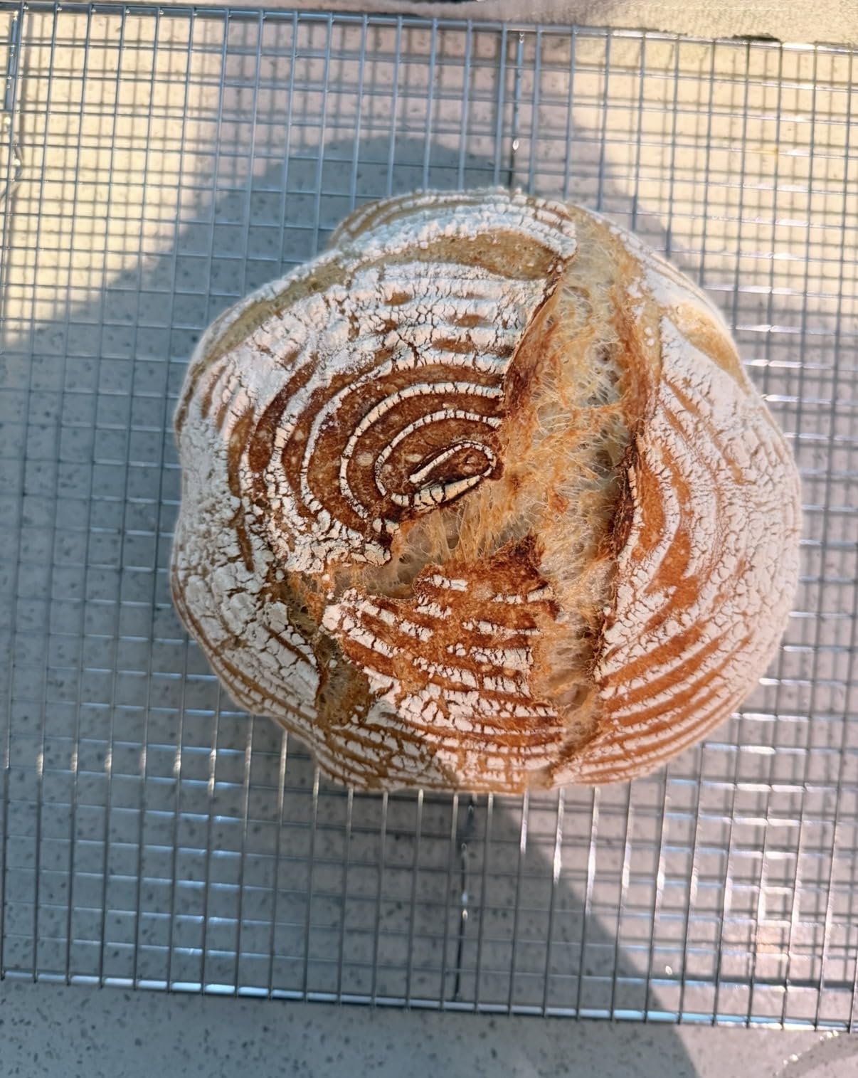Superbaking Sourdough Banneton Bread Proofing Basket, 9