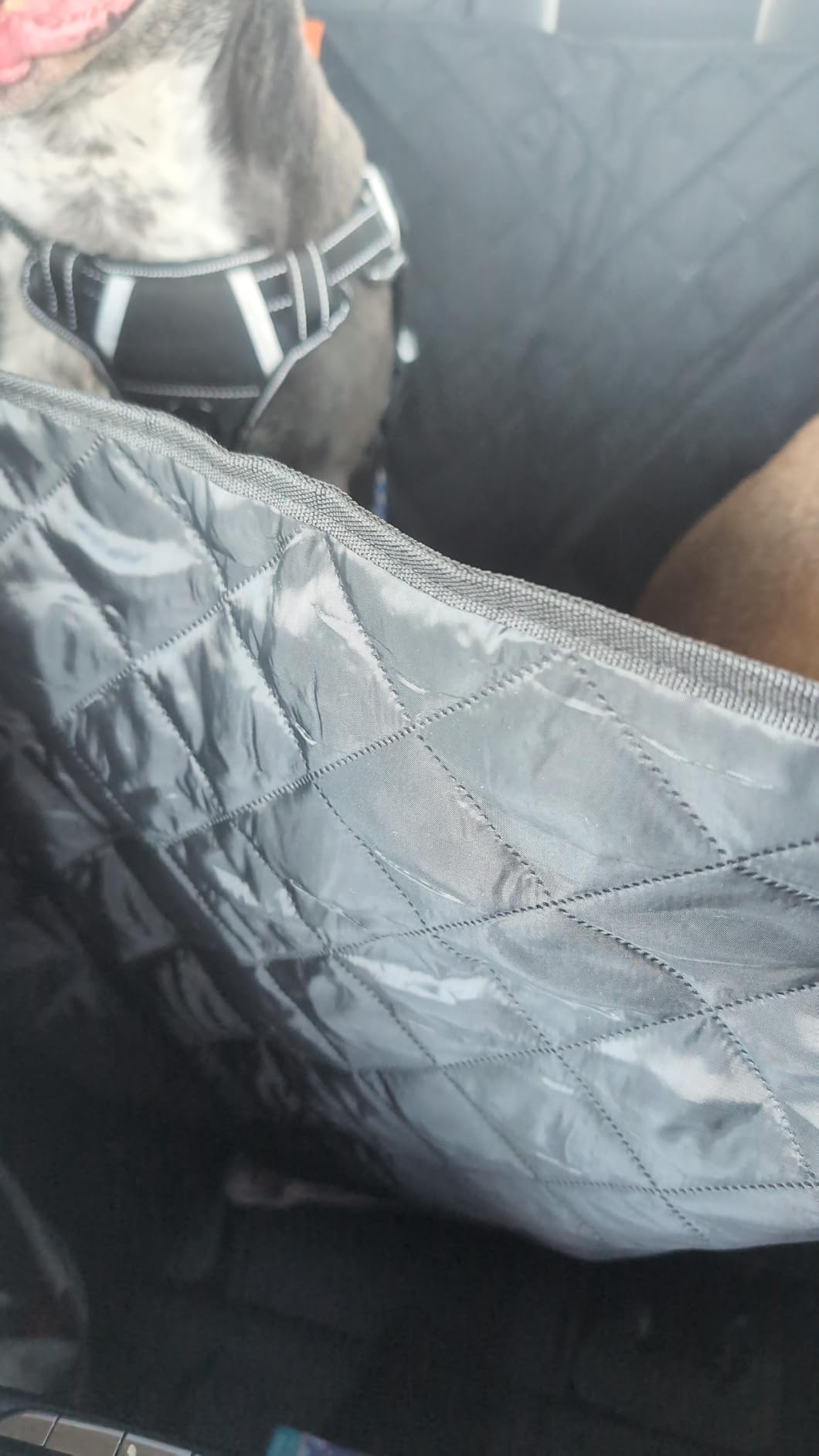 URPOWER Hard Bottom Dog Car Seat Cover for Back Seat, PU Leather Hammock customer photo 1