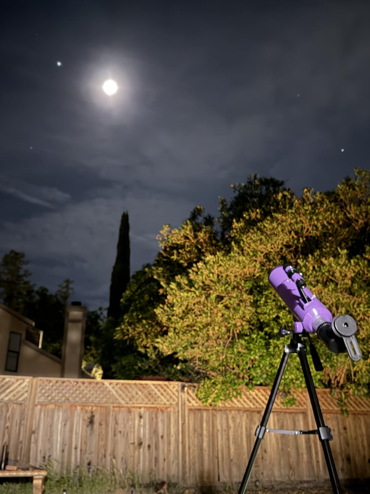 Dianfan Telescope for Kids & Adults, 80mm 500mm Portable Refractor, Purple customer photo 2