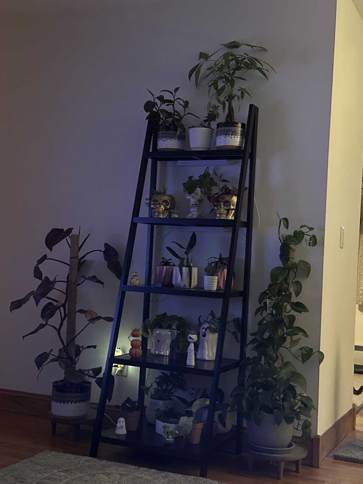 VIVOSUN T5 Grow Lights for Indoor Plants, 5000K Full Spectrum, 1FT customer photo 1