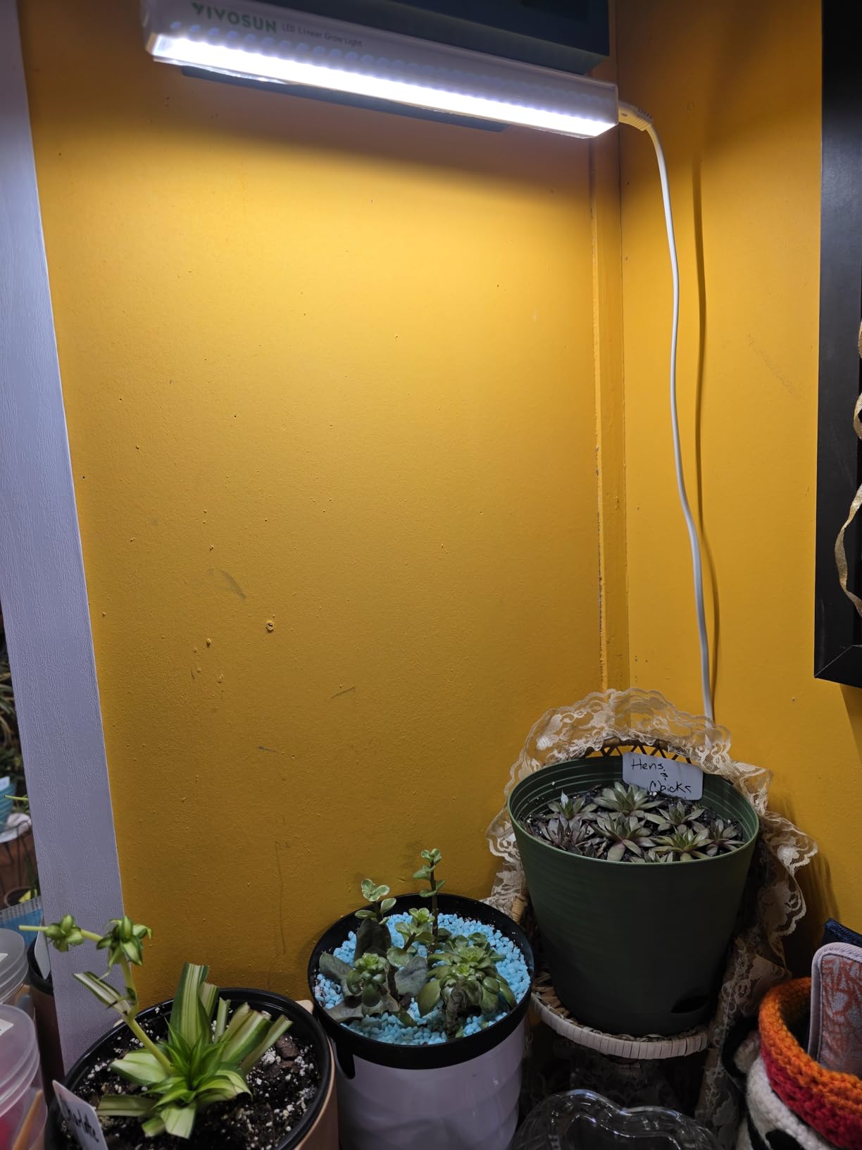 VIVOSUN T5 Grow Lights for Indoor Plants, 5000K Full Spectrum, 1FT customer photo 2