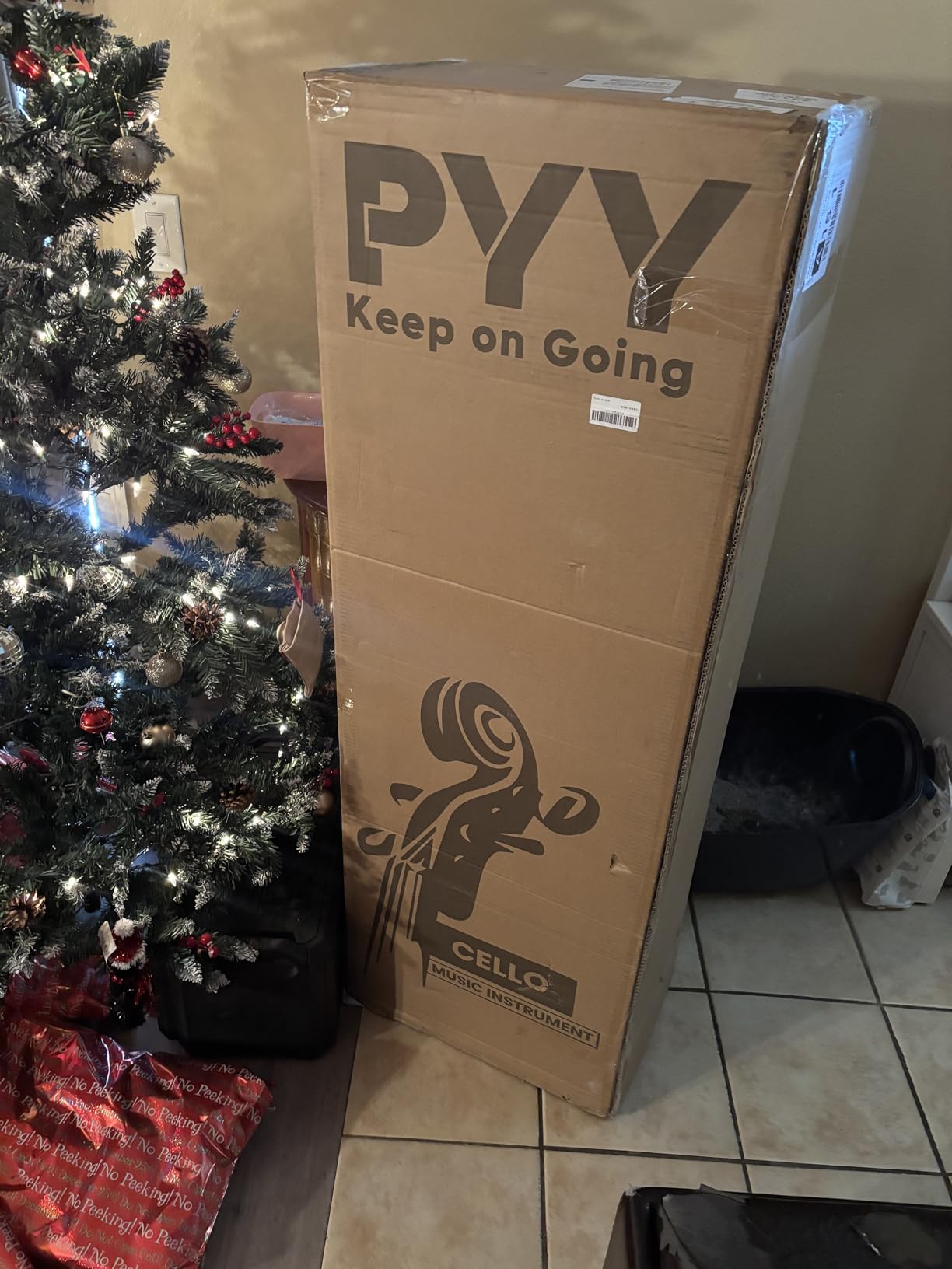 PYY Cello 4/4 Full Size - Solid Wood Acoustic Cello Package with Stand, Case, Bow, Rosin, Tuner & Extra Strings, Perfect for Students & Adult Beginners（Red） customer photo 1