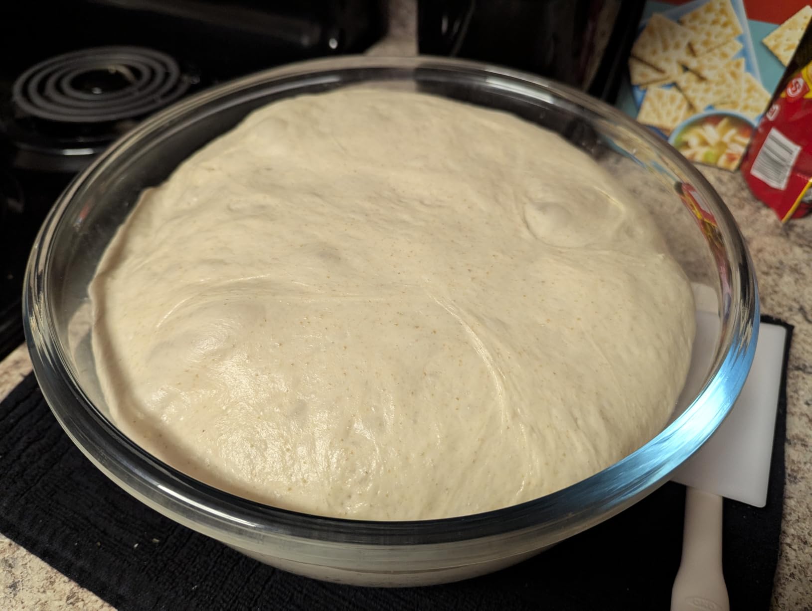 6 QT Large Glass Mixing Bowl with Lid for Sourdough Bread Making & Proofing customer photo 1
