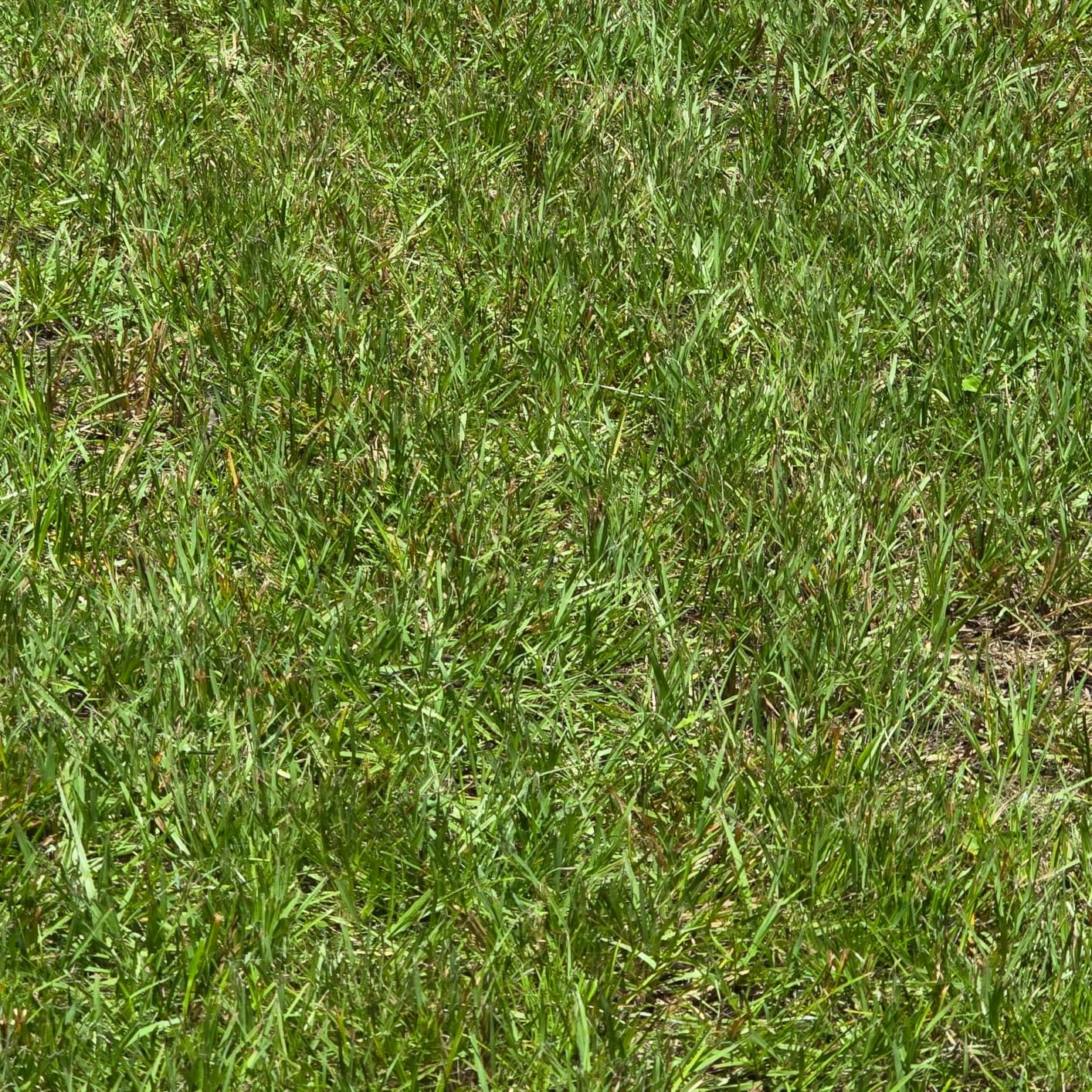 Segway Navimow i210 AWD Robot Lawn Mower Wire Free, 0.25 Acre, 45% Slopes customer photo 2