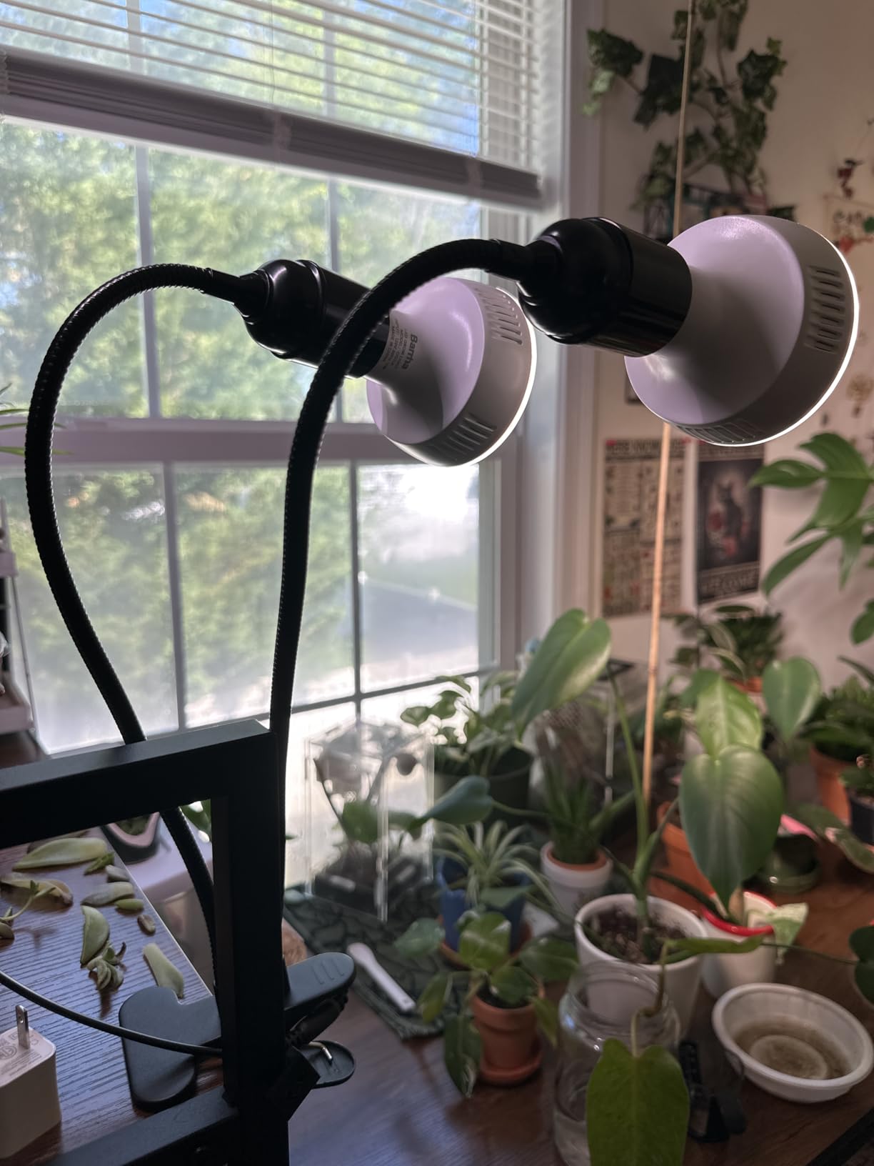 Barrina OG11A2 Clip On Grow Light for Indoor Plants, 4000K 22W(2 x 11W) customer photo 1