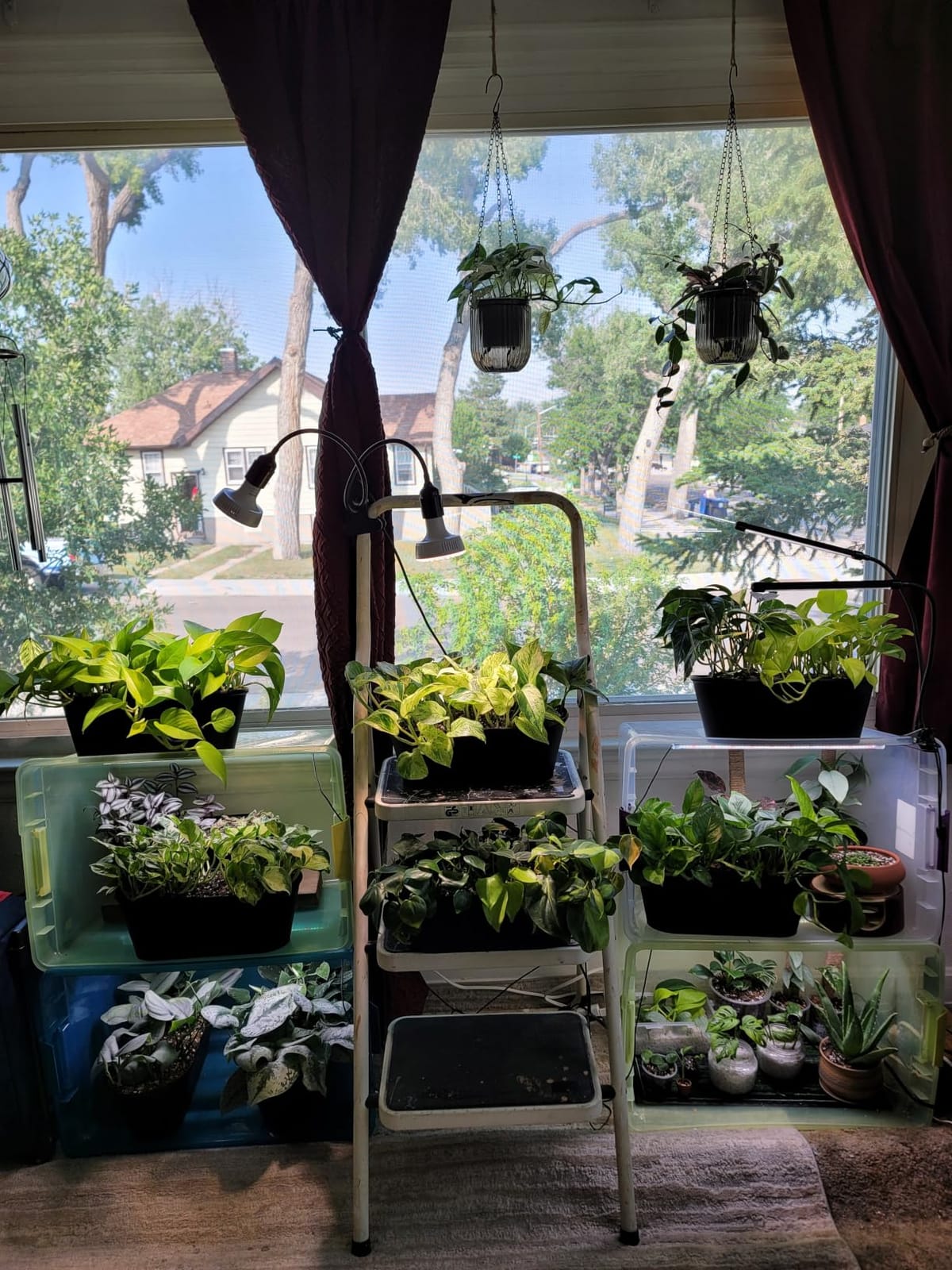 Barrina OG11A2 Clip On Grow Light for Indoor Plants, 4000K 22W(2 x 11W) customer photo 2