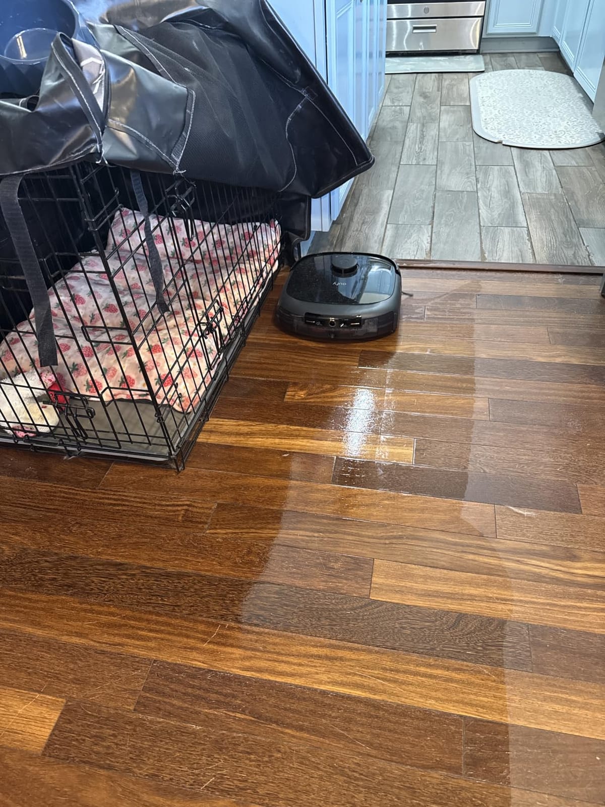 eufy Omni C20 Robot Vacuum and Mop Combo for Hardwood and Carpet, 7,000 Pa customer photo 2