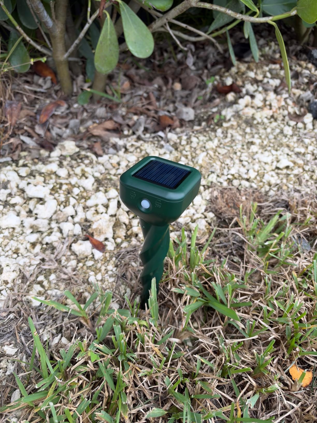 Mole Repellent Solar Powered, 4 Pack Snake & Skunk Repellent for Yard, IP 65 Waterproof Ultrasonic Deterrent Stakes, Get Rid of Rabbit, Gopher, Vole, Chipmunk, Deer, Groundhog for Lawns Garden customer photo 1