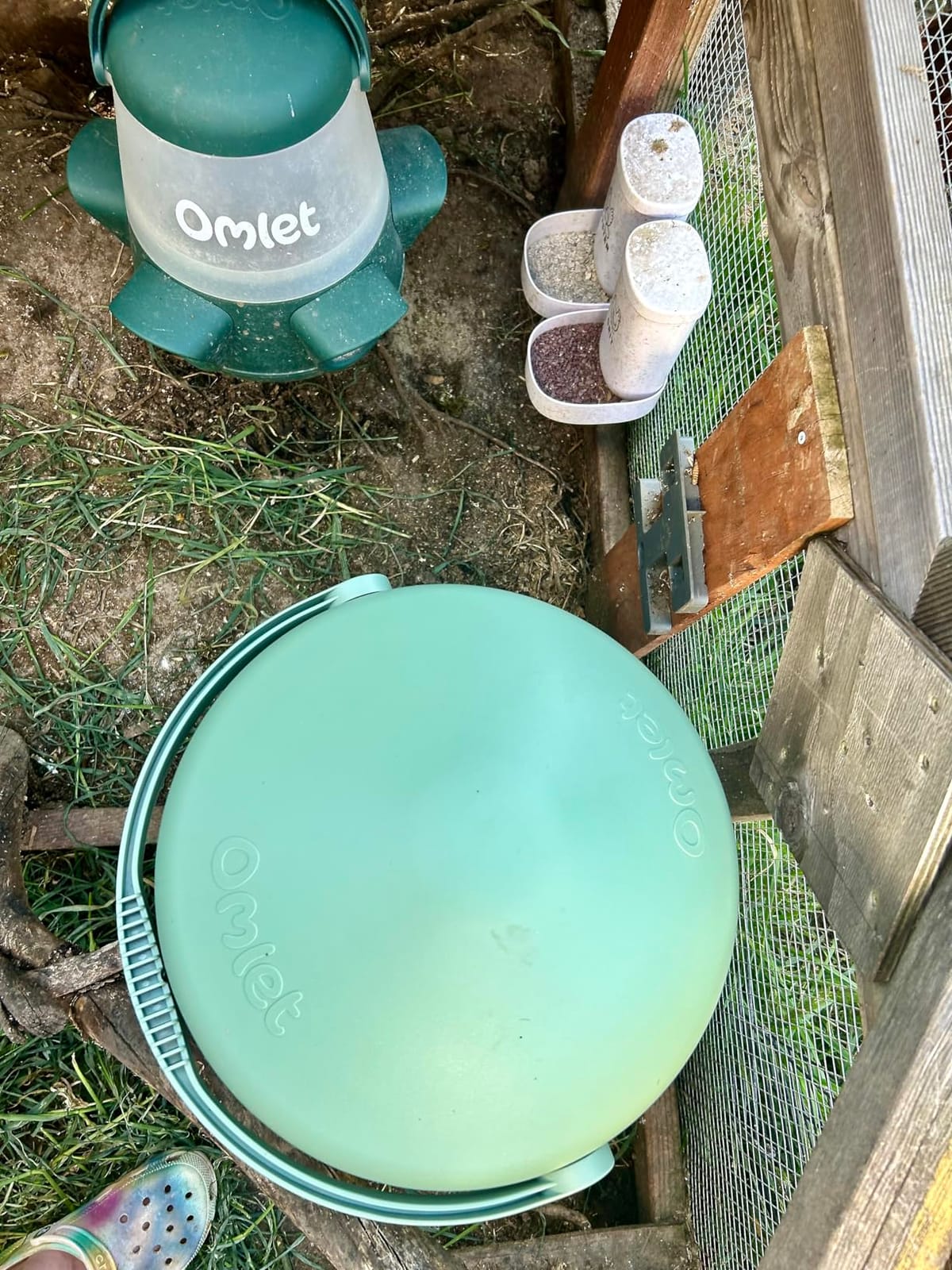 Omlet Insulated Chicken Waterer, 3 Gallon | Stay-Clean Automatic Water Dispenser for Chickens | BPA-Free | Anti-Roost Domed Lid | Includes 5 Cups & Nipples | Eglu Green customer photo 2