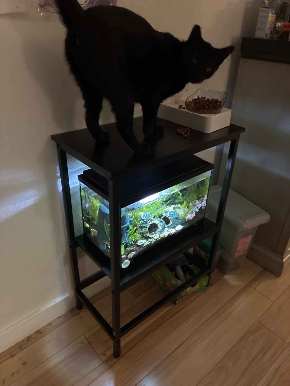 29 Gallon Fish Tank Stand for Standard & Breeder Tanks | Fits 20 & 29 Gal Long, Tall & Breeder Tanks for Aquarium, Reptile Terrarium & Turtle Tank, Top Shelf, 30.7