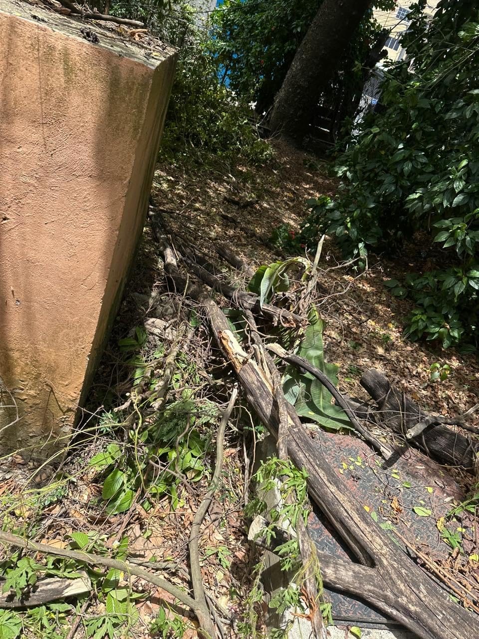 SEESII 2-in-1 Electric Pole Saws for Tree Trimming, Brushless Motor customer photo 2