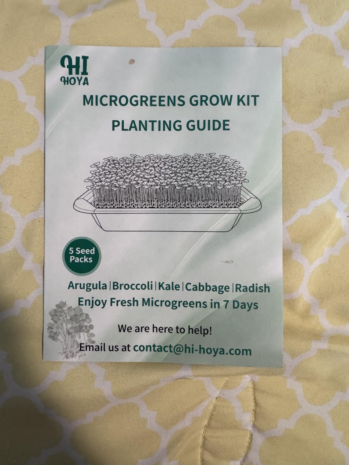 Microgreens Growing Kit Indoor Garden - Complete Micro Greens Growing Kits with 5 Seed Packs - Grow Broccoli, Arugula, Kale, Cabbage, Radish customer photo 1
