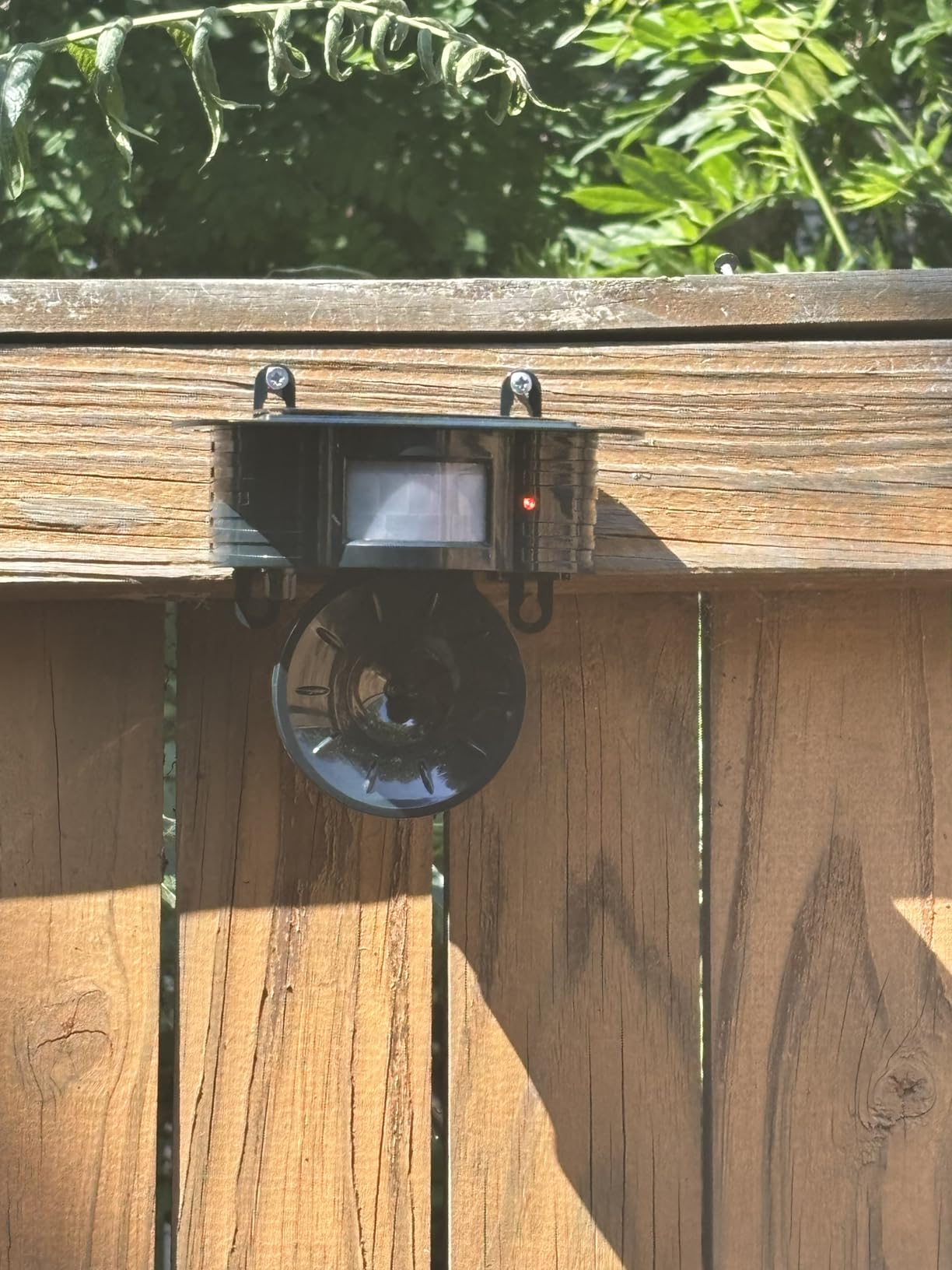 Ultrasonic Bird Deterrents for Outside, Squirrel & Pigeon & Woodpecker Repellent, Solar Powered, IP 65 Waterproof, Motion Sensor, Bird Repellent Devices Outdoor for Patio Farm Yard Orchard, 1 Pack customer photo 2
