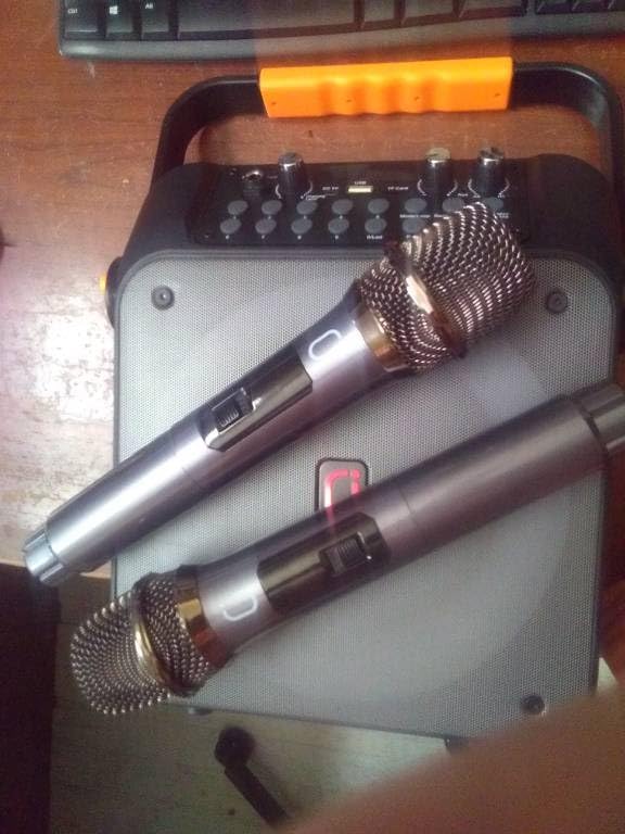 HWWR Karaoke Machine with 2 Mics for Adults & Kids, All-in-One Karaoke Set customer photo 1