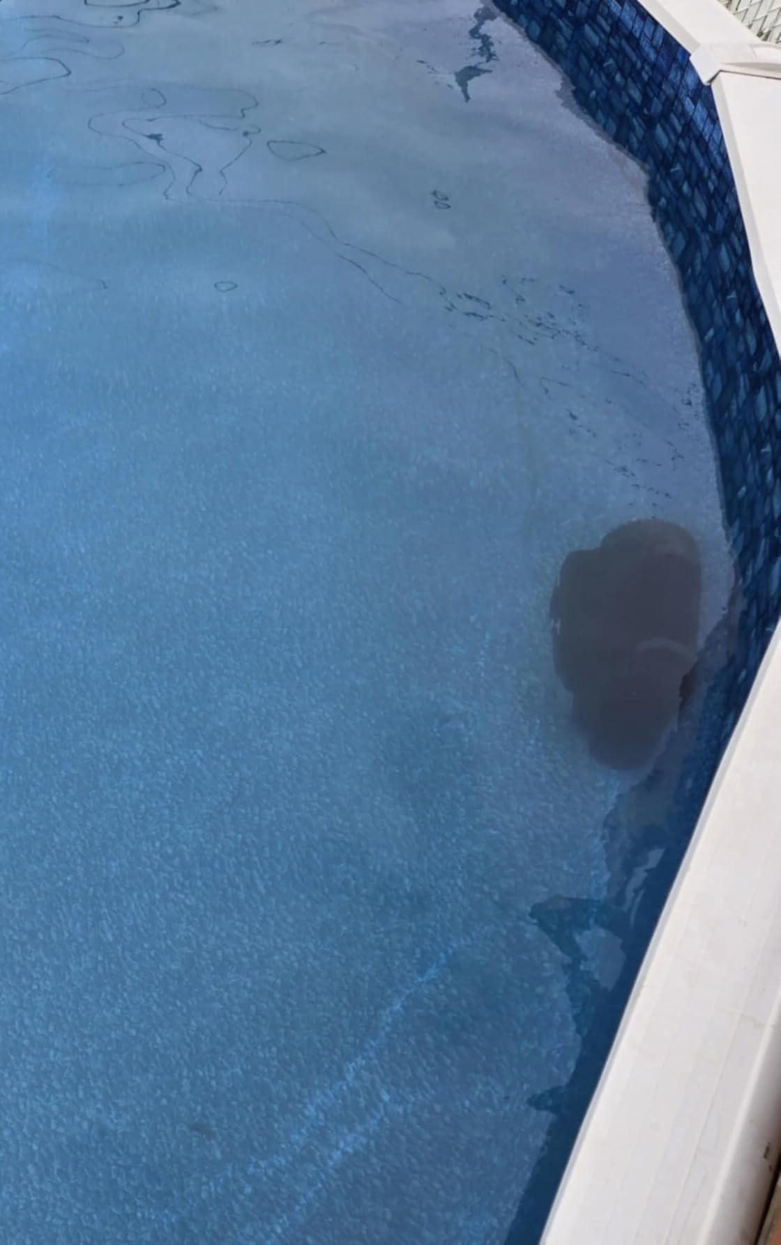 X5 Robotic Pool Vacuum for Inground Pools,Cordless Vacuum Cleaner customer photo 1