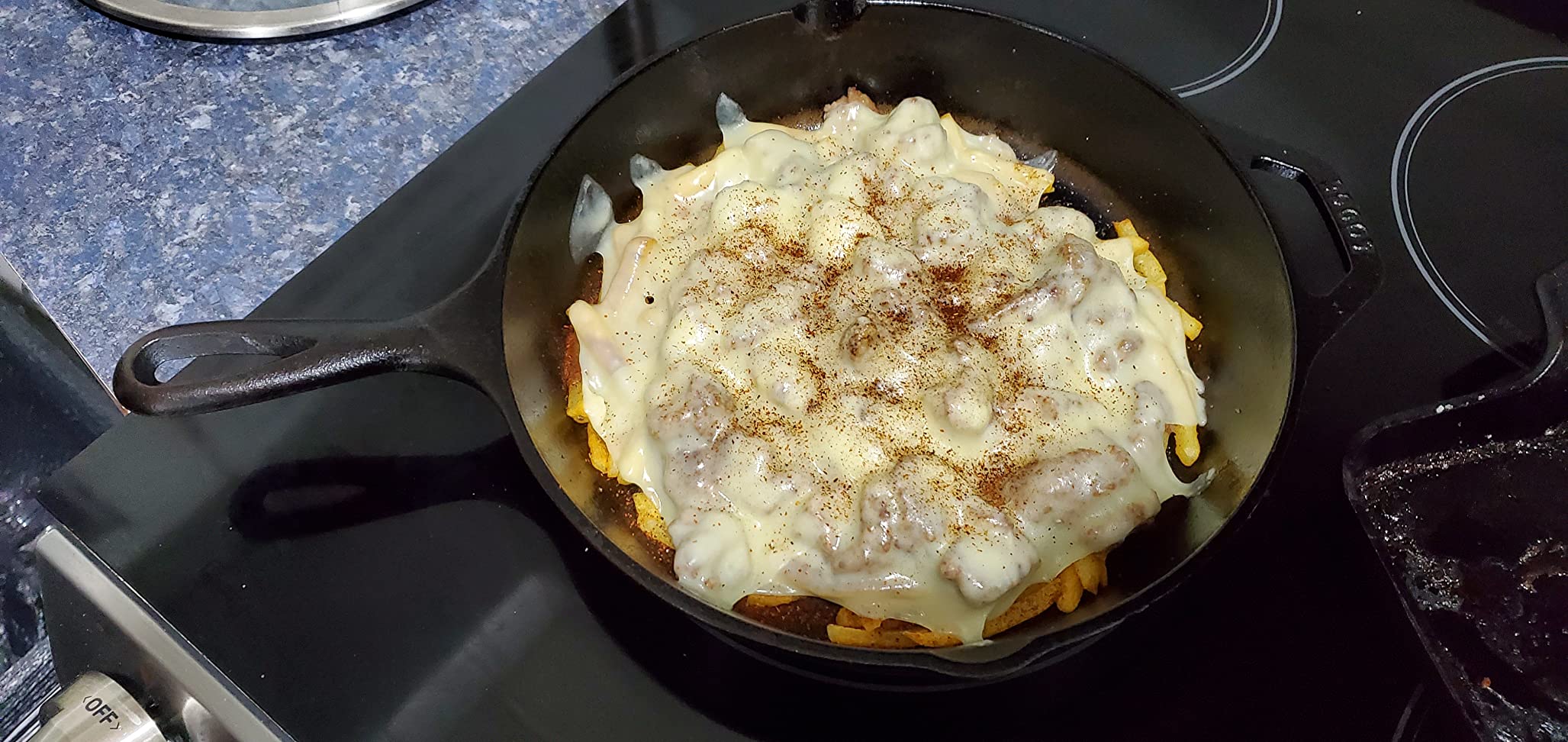 Lodge Pre-Seasoned Cast Iron Skillet, PFAS-Free, 10.25 Inches customer photo 1
