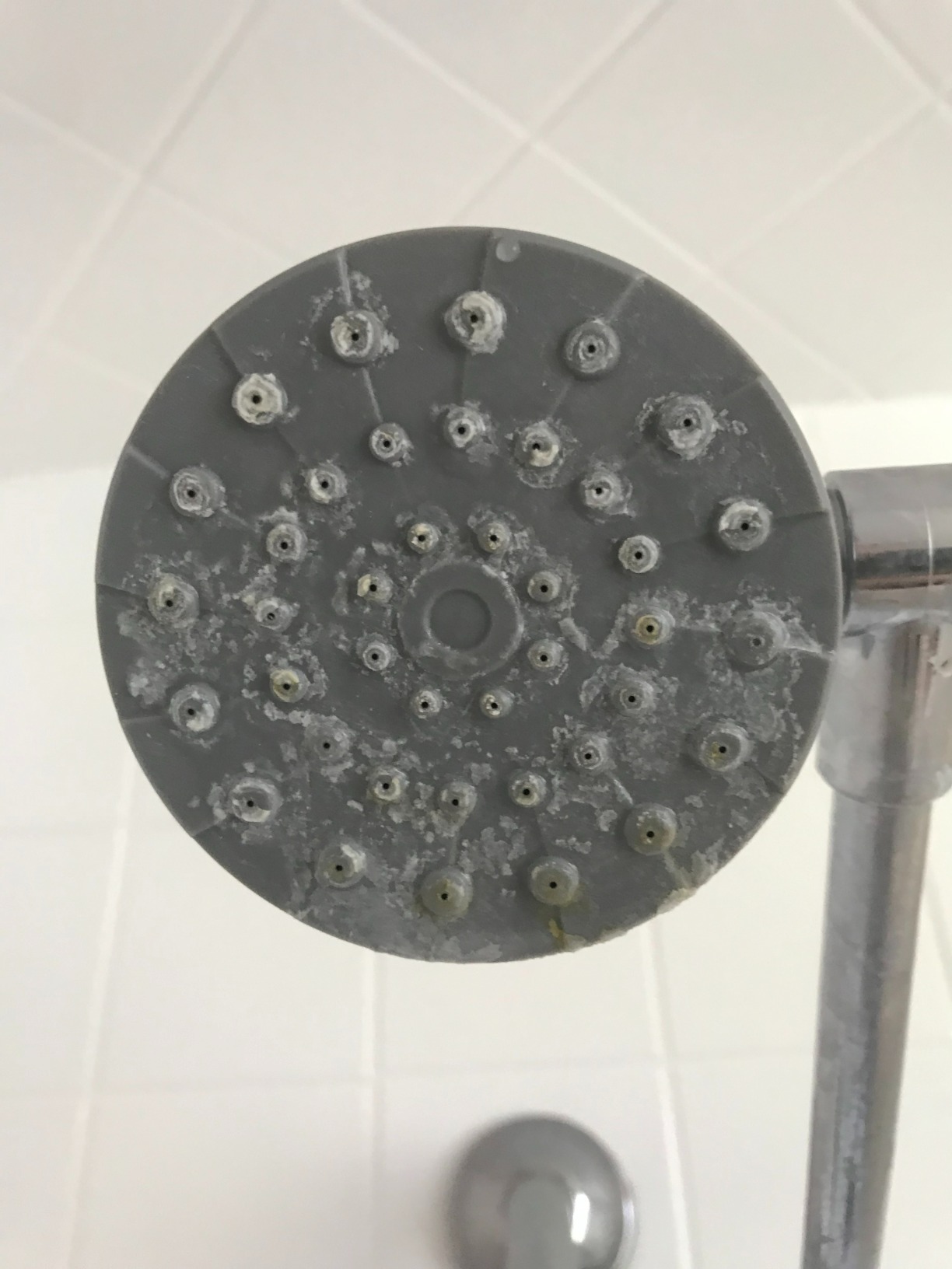 NuvoH2O Manor Salt-Free Whole Home Water Softener System customer photo 2