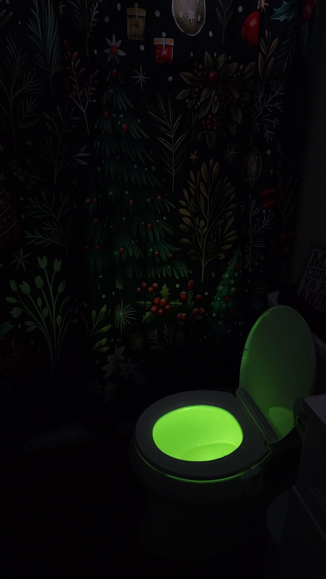 ToiLight The Original Toilet Bowl Night Light. Fun Useful Bathroom Motion Sensor Tech Gadget. Funny Novelty Birthday Gift Idea. Stocking Stuffer for Him, Her, Guys, Men, Mom, Brother customer photo 1