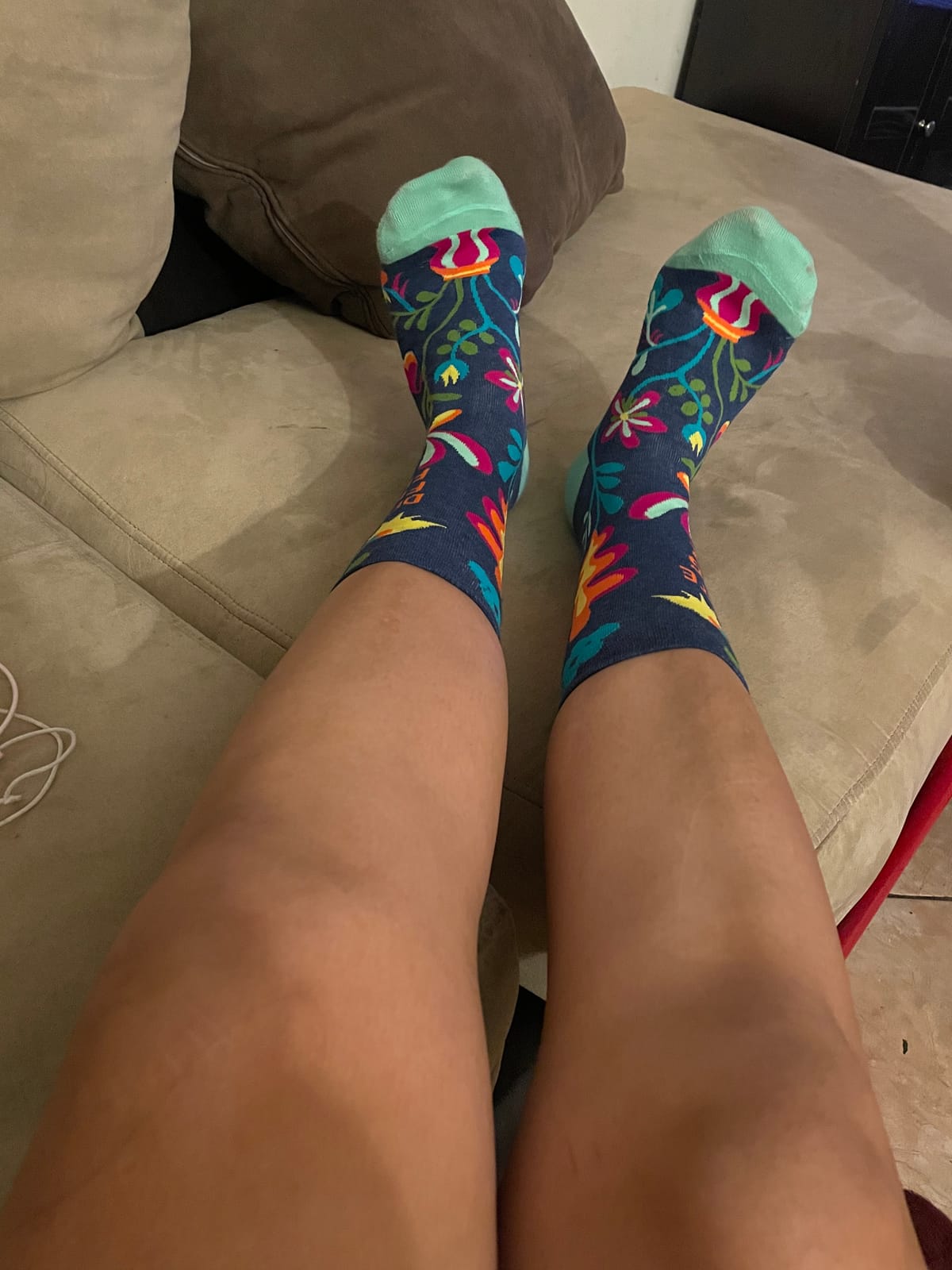 Blue Q Novelty Crew Socks - Funny Socks for Women, Fun Gifts - One Size customer photo 1