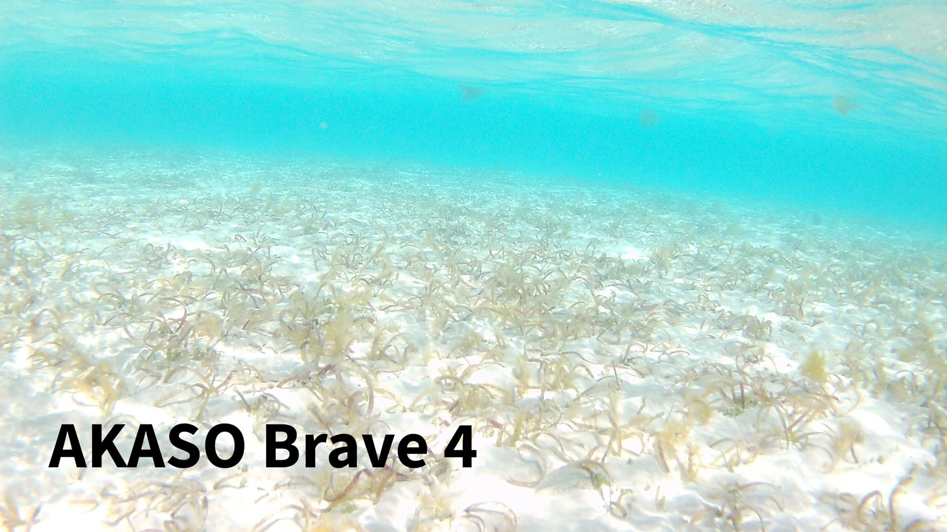 AKASO Brave 4 Action Camera 4K30 Ultra Hd Waterproof Underwater Camera customer photo 1