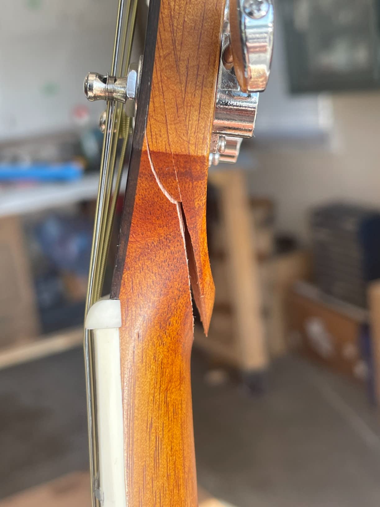 Orangewood Dana Mini/Travel Acoustic Guitar with Spruce Top, Junior 3/4 Size customer photo 2