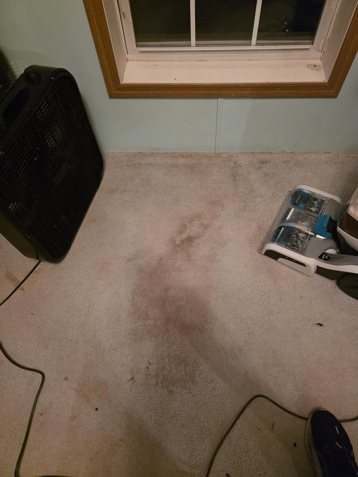 Hoover SmartWash+ Automatic Carpet Cleaner Machine customer photo 1