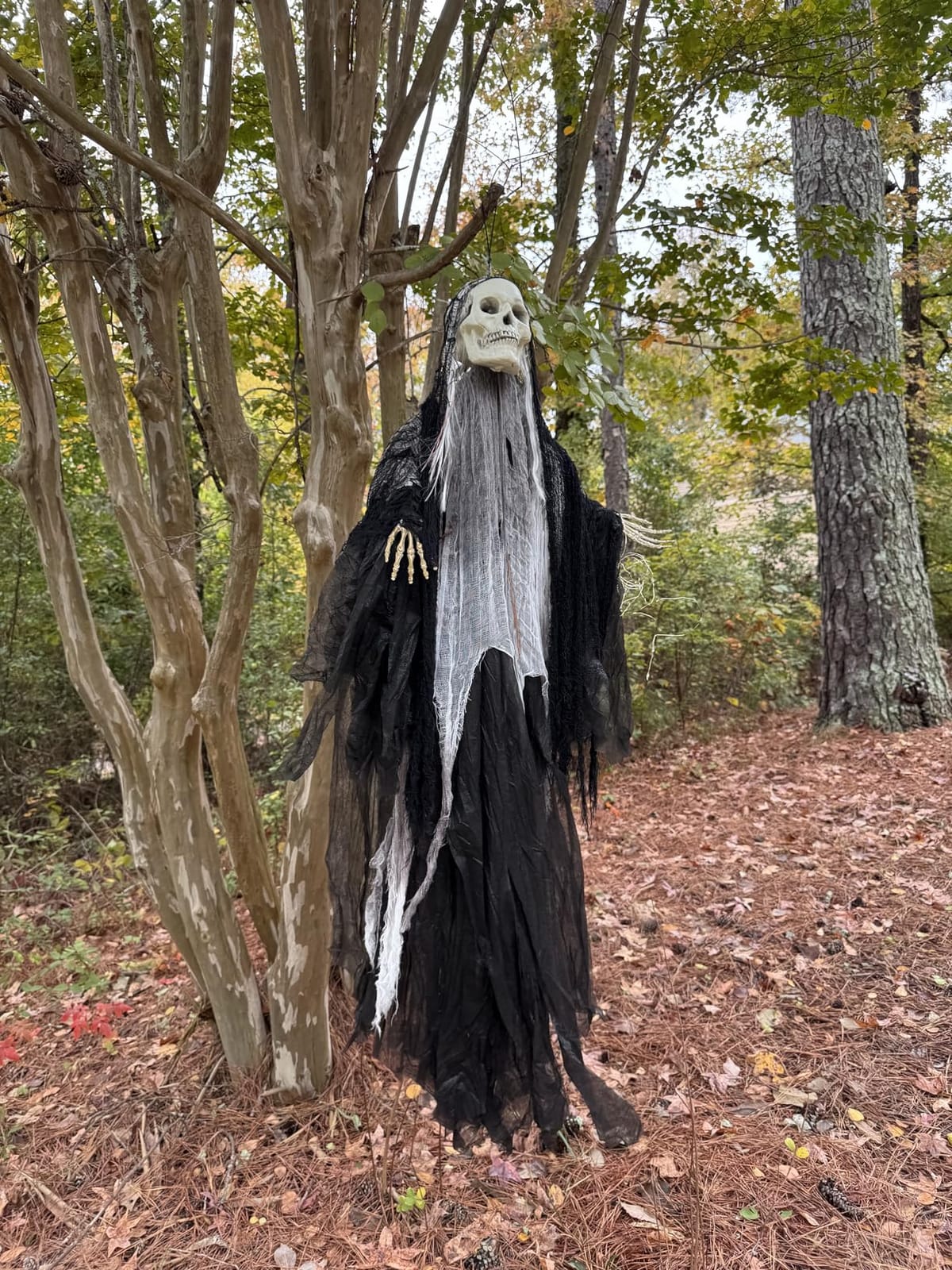 JOYIN 3 Pack Hanging Halloween Skeleton Ghosts Decorations, Grim Reapers for Best Halloween Outdoor Decorations customer photo 2