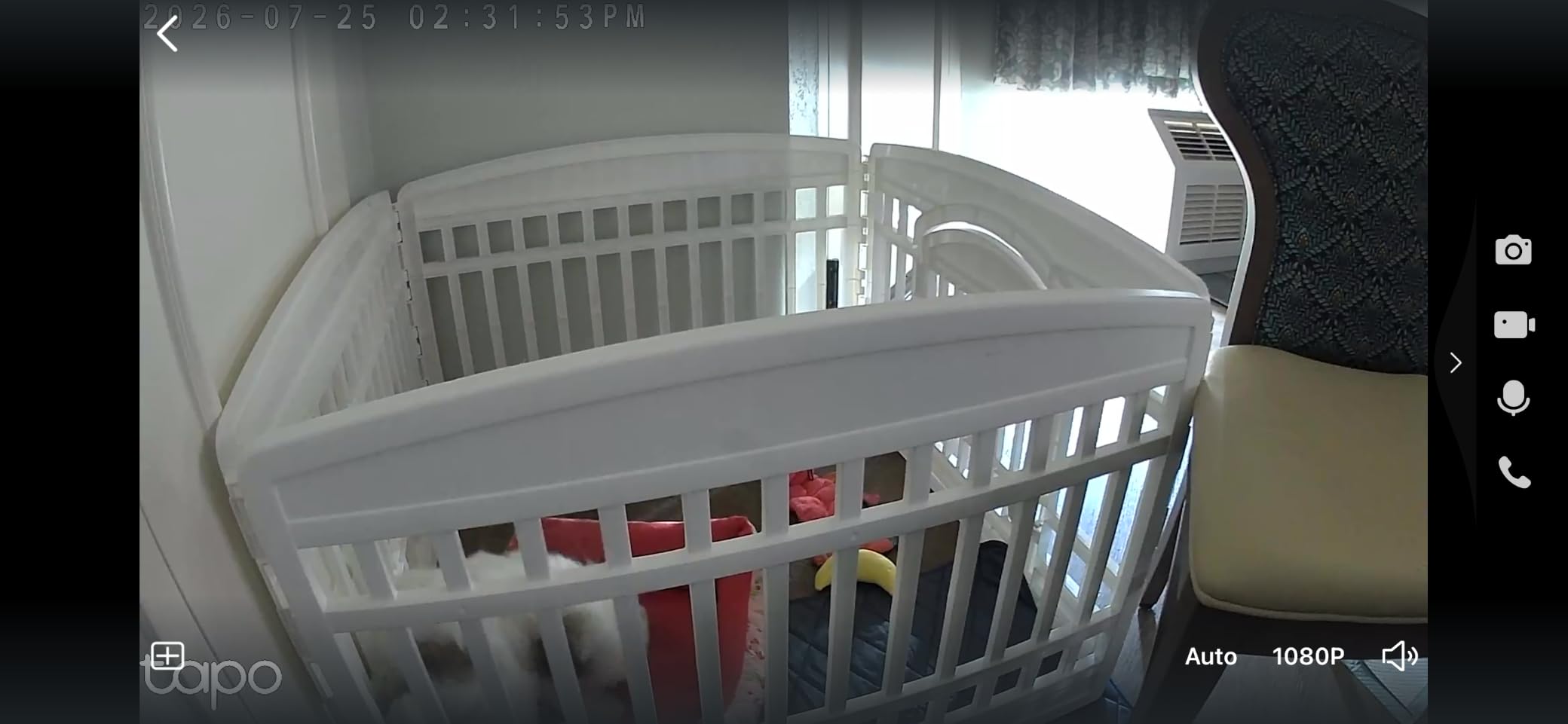 Tapo 1080P Indoor Security Camera, Baby Monitor, Dog Camera, Wired, C100 customer photo 2