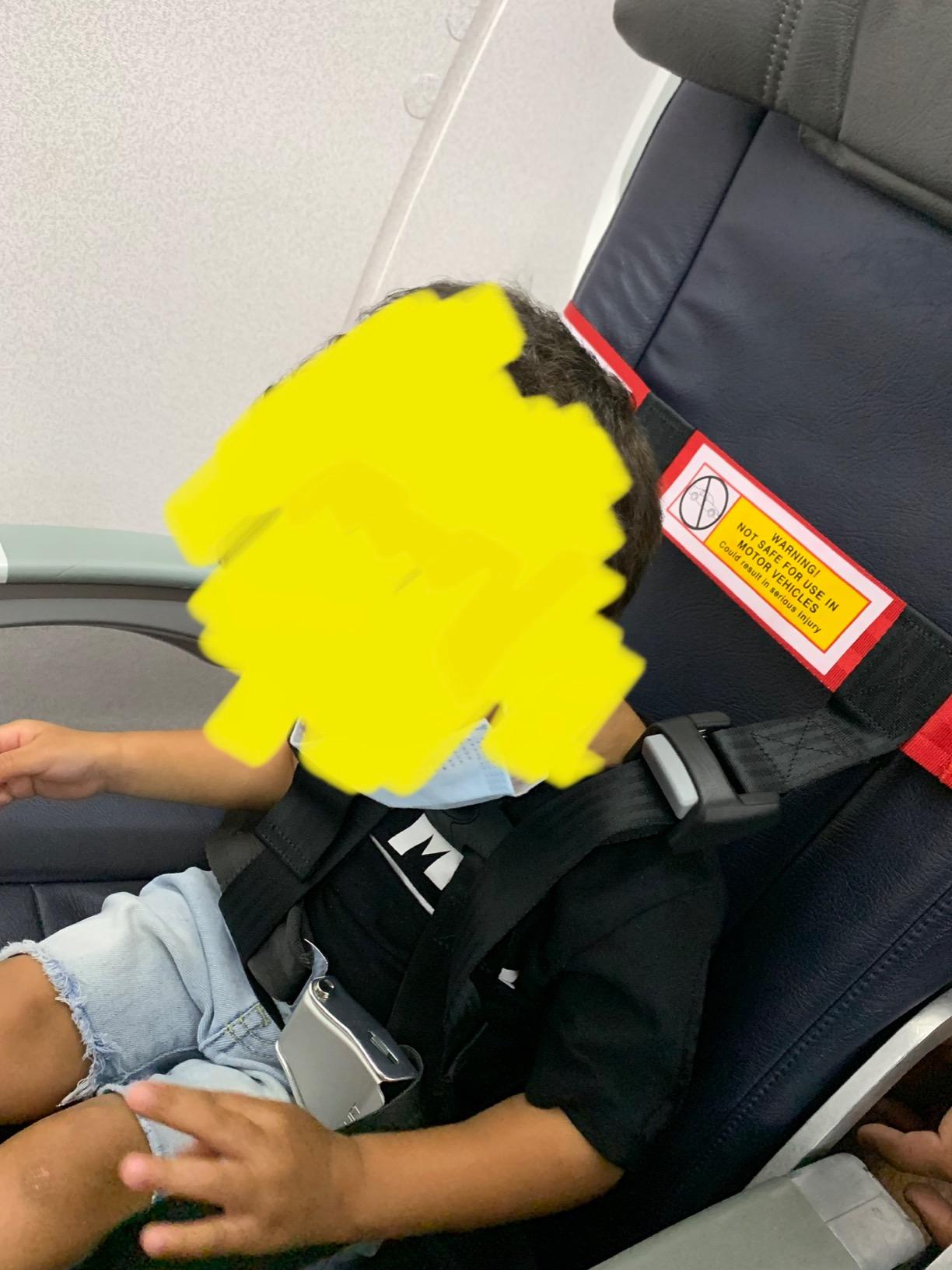 Child Airplane Safety Harness - The Safety Restraint System Will Protect Your Child from Danger. - Airplane Kid Travel Accessory for Aviation Use customer photo 1