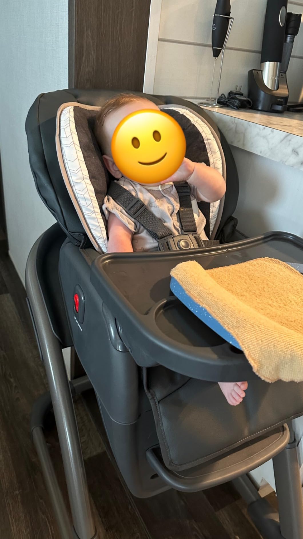 Graco Blossom 6 in 1 Convertible High Chair, Redmond customer photo 1