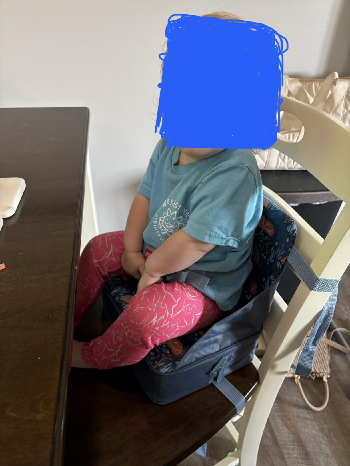 Nuby Easy Go Booster Seat for Kitchen Chair - Gray Chevron customer photo 2