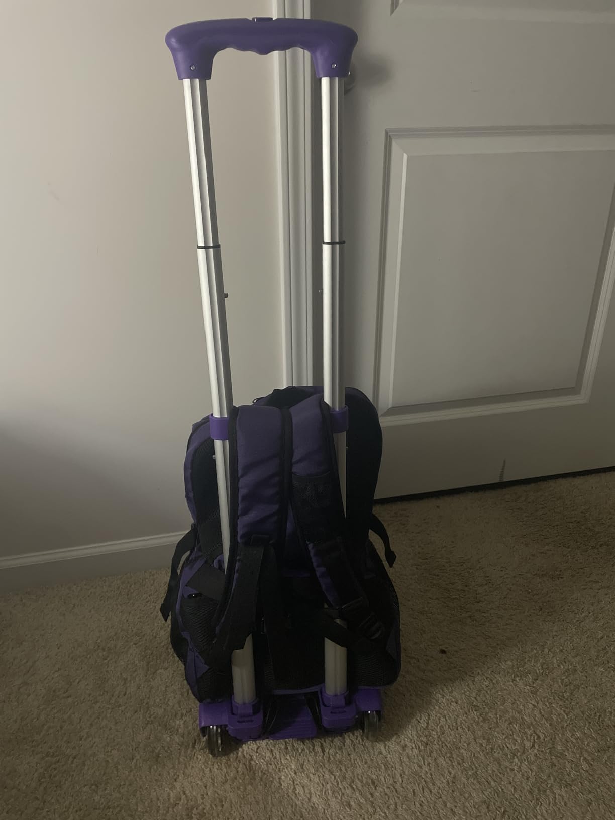 Sutekus Folding Hand Truck and Dolly 110-lbs Lightweight Portable Luggage Cart for School Travel Office Moving (Blue) customer photo 2