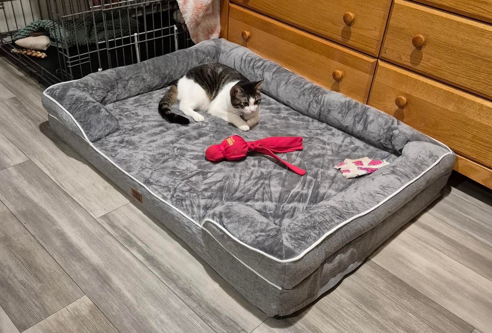EHEYCIGA Orthopedic Dog Beds Large Sized Dog, Waterproof Memory Foam Pet Bed with Sides, Non-Slip Bottom Large Pet Bed with Washable Removable Cover, Grey customer photo 1