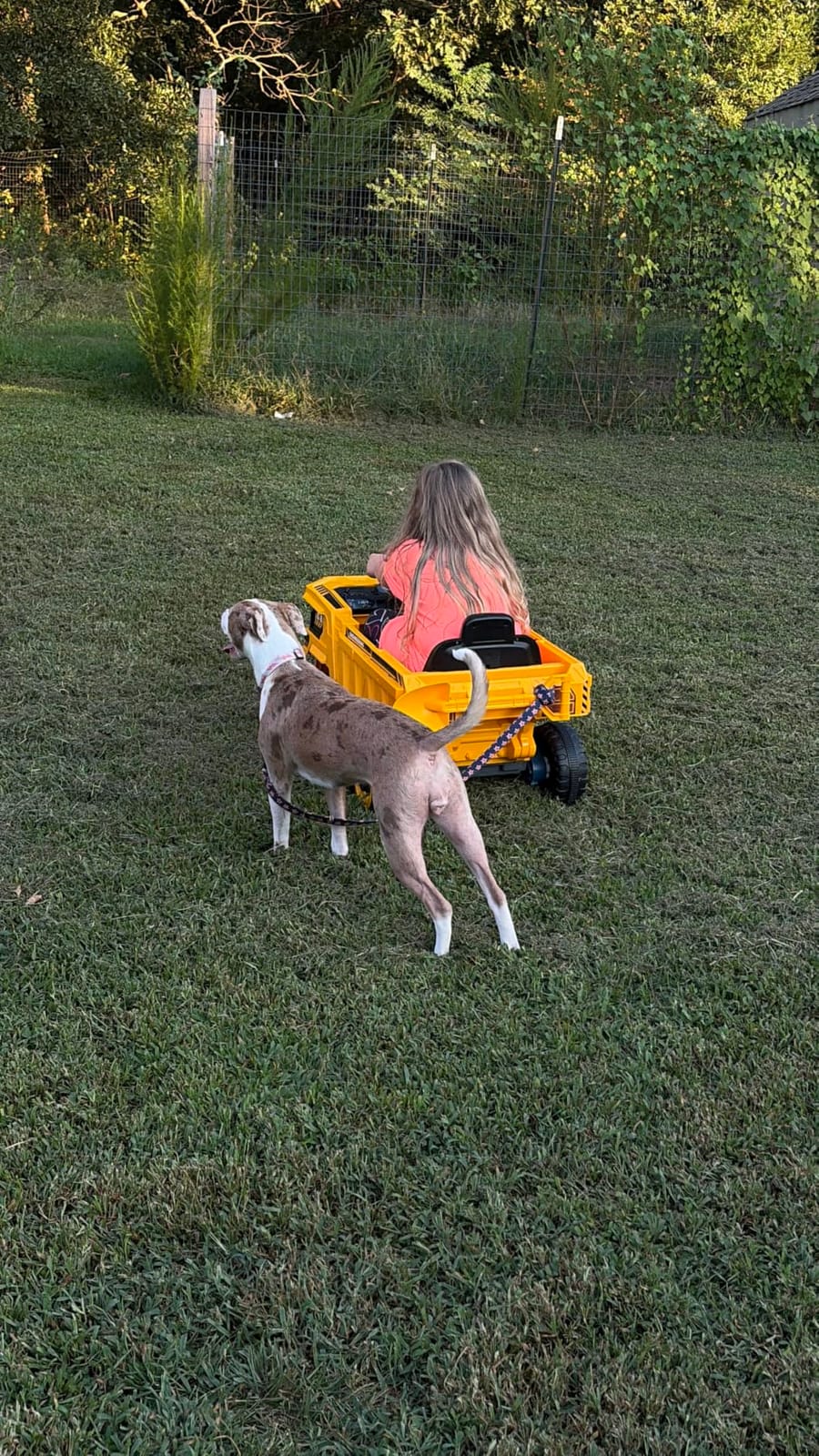24V Ride on Dump Truck, 4WD Kids Car with Electric Dump Bed Remote Control customer photo 2