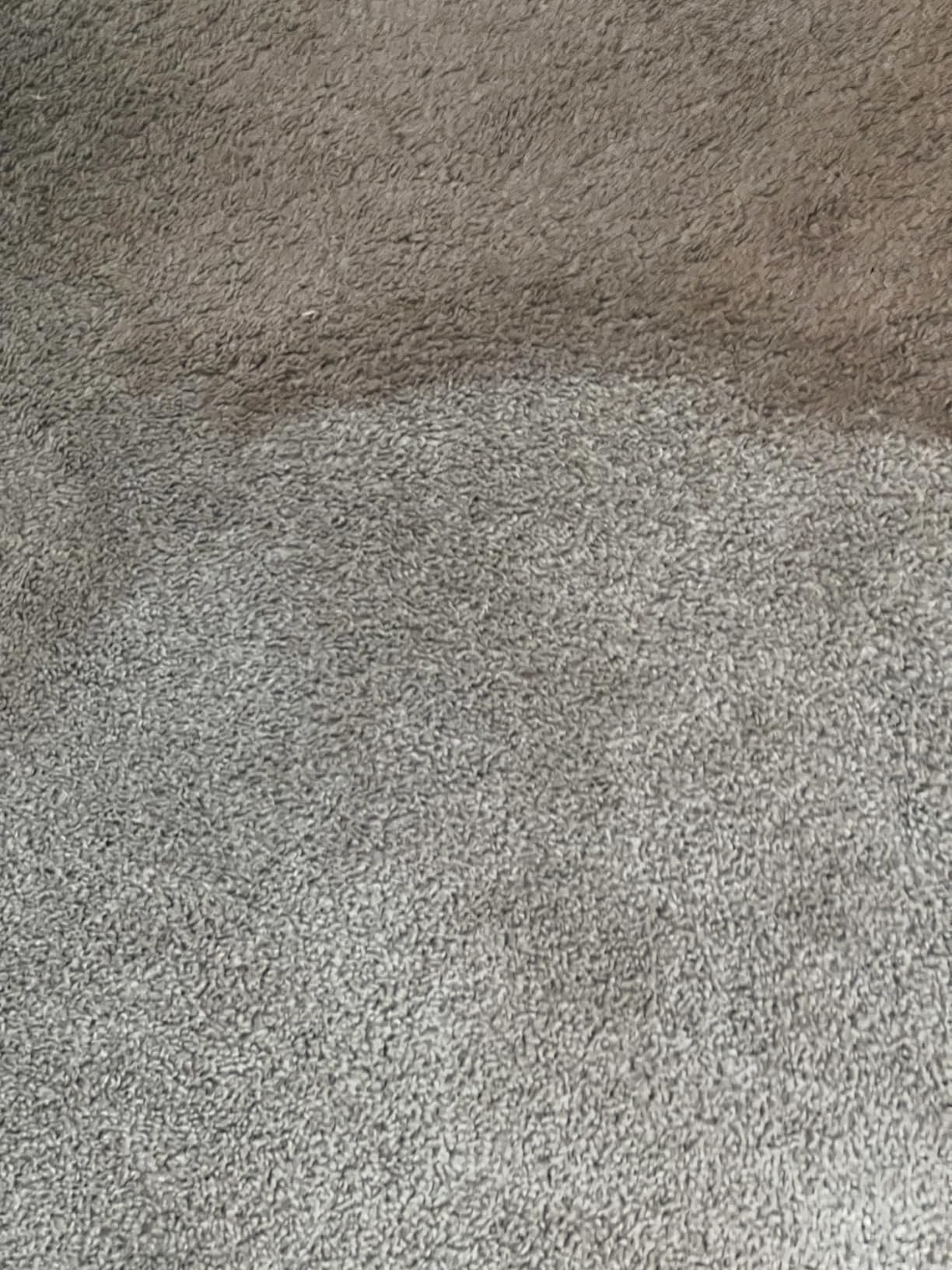 BISSELL Little Green Max Pet SmartMix Carpet Cleaner, 38572 customer photo 2