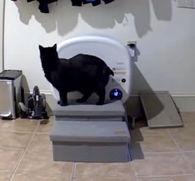 Cumrige Automatic Litter Box,Safety Sensor,App Control,95L Large Capacity customer photo 1
