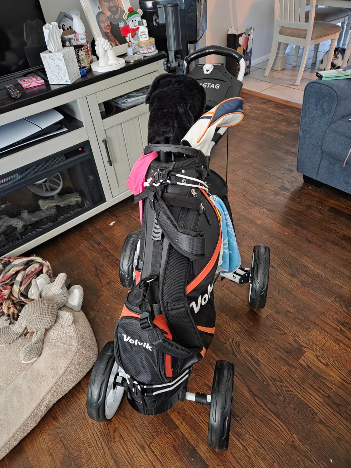 FLAGTAG Golf Push Cart 4-Wheels,Folding Golf Cart, Golf Pull cart with Cup Holder,Umbrella Holder,Cooler Bag, Foldable with one-Click,Handle Height Adjustable,Drink Holder,Walking Push cart customer photo 2
