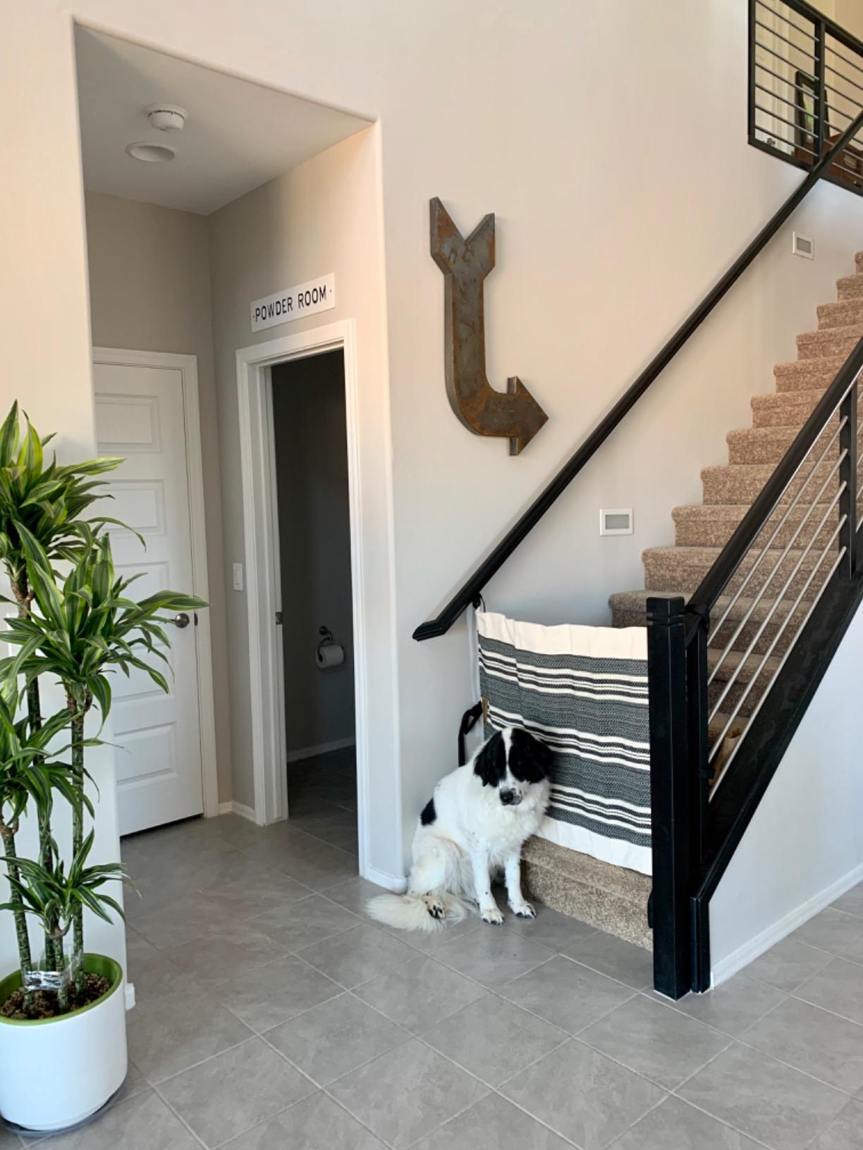 The Stair Barrier First Fabric Banister to Banister Baby Gates for Stairs 42”–52” Wide x 32” Tall– No Drill Baby Gate for Top or Bottom Staircase, Machine-Washable Climb Proof, Designed in USA, Cream customer photo 2