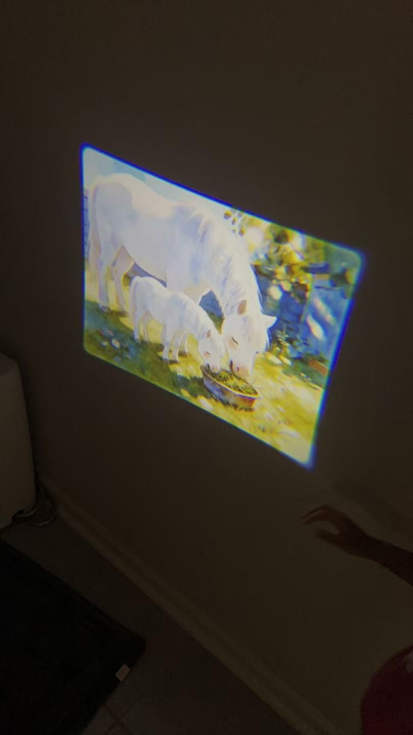 Kids Story Projector for Ages 3-7 with 30 Story Cards,Screen-Free Storytelling Device with Remote, Adjustable Stand, Portable Rechargeable, 160+ Audio Tracks, Gift for Boys & Girls customer photo 1